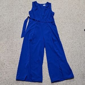 Elegant Blue Women's Jumpsuit